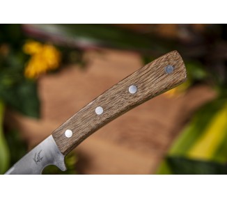 Couteau à huitre 15 cm Wacapou