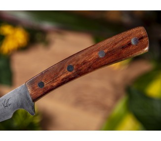 Couteau à huitre 15 cm Satiné Rubané