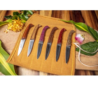 6 Couteaux de table Couteau de Guyane