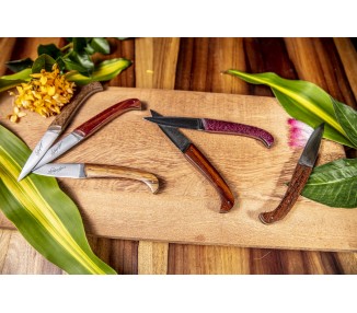 6 Couteaux de table Couteau de Guyane